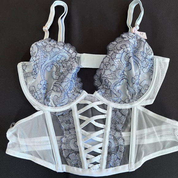 Victoria’s Secret Dream Angels Embroidered Corset and Panty set Medium - Picture 5 of 6